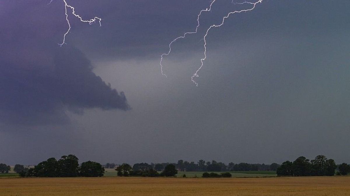 Horvátországban is brutális pusztítást végzett a hurrikánszerű szél: kidőlt fák, lezárt autópályák – "Ez százévente egyszer történik meg" 