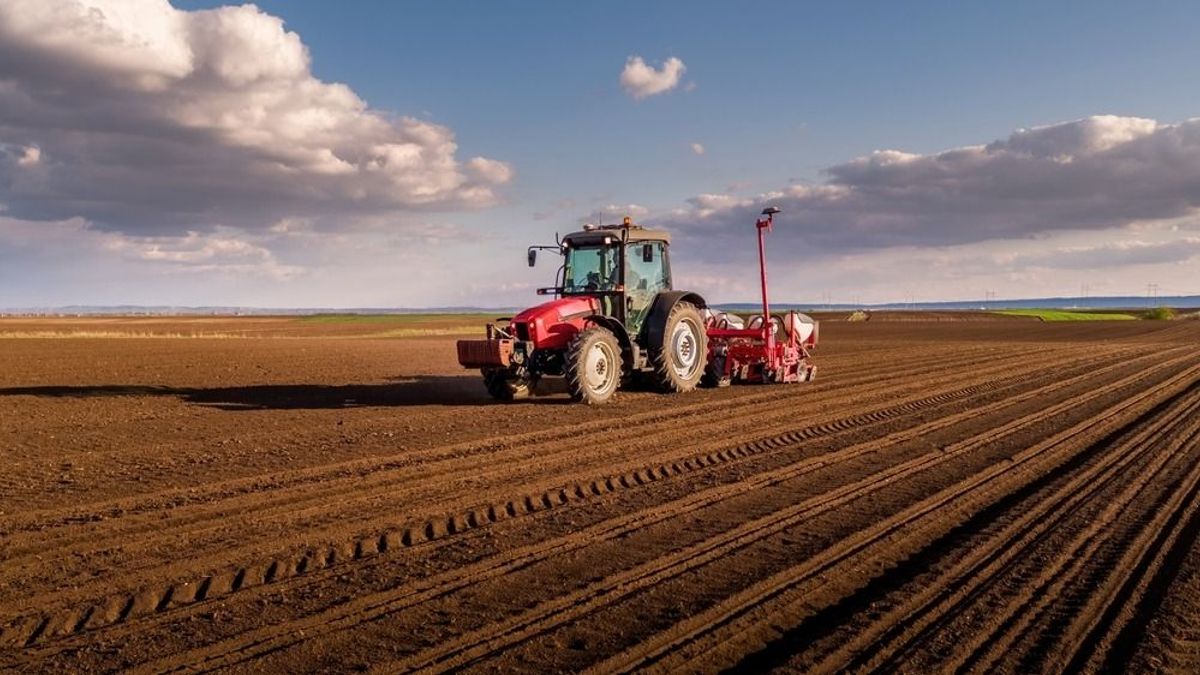Mélyütést vinne be a magyar agráriumnak a kötelező kamarai tagság megszüntetése – az érdekképviseletek is felszólaltak az ötlet ellen 