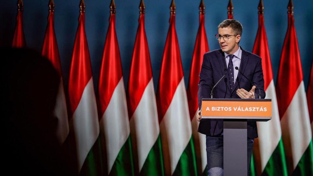 kocsis máté