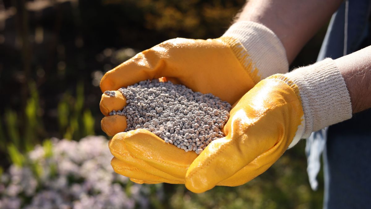 Mindenki az olajárra figyel, pedig az iráni háború miatt súlyos élelmiszerválság jöhet