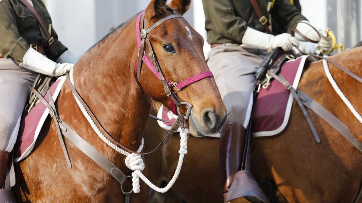 Egy, csak egy legény dirigálja a forintot, Varga Mihály jól tudja: biztos kéz kell, és az elég