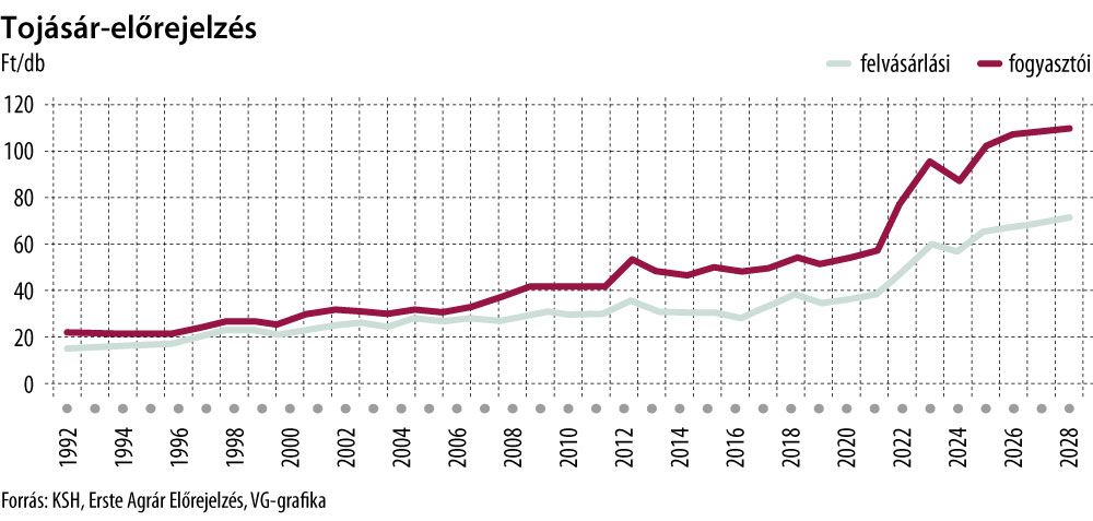 Tojásár-előrejelzés
