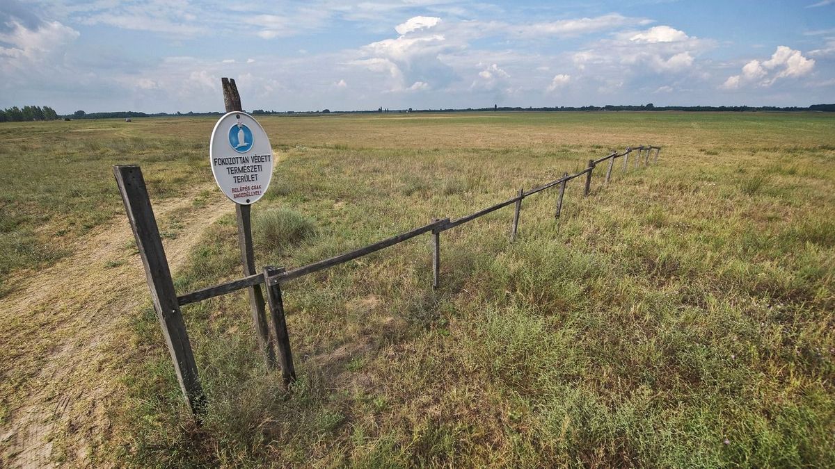 határ,Homokhatsag_03