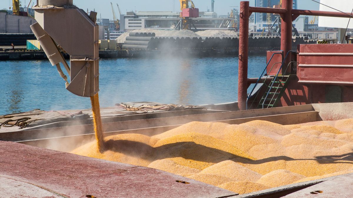 Ki látja el most élelmiszerrel az Öböl menti országokat? 