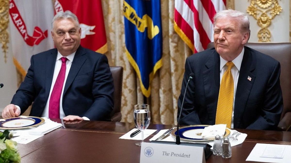 Trump teljes készültségben az április 12-i választás miatt: leírta a mestertervét a magyaroknak – ez az amerikai elnök jótanácsa 