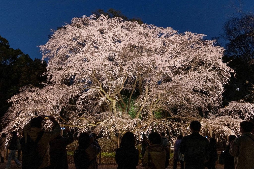 Ez történt a héten a világban, fotógalérián a legfontosabb történések