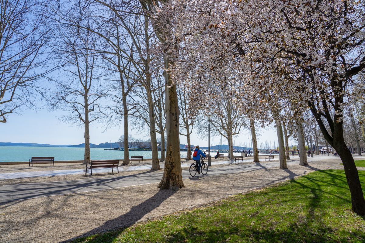 Tagora,Promenade,With,Beautiful,Blooming,Trees,Next,To,Lake,Balaton Balaton turizmus