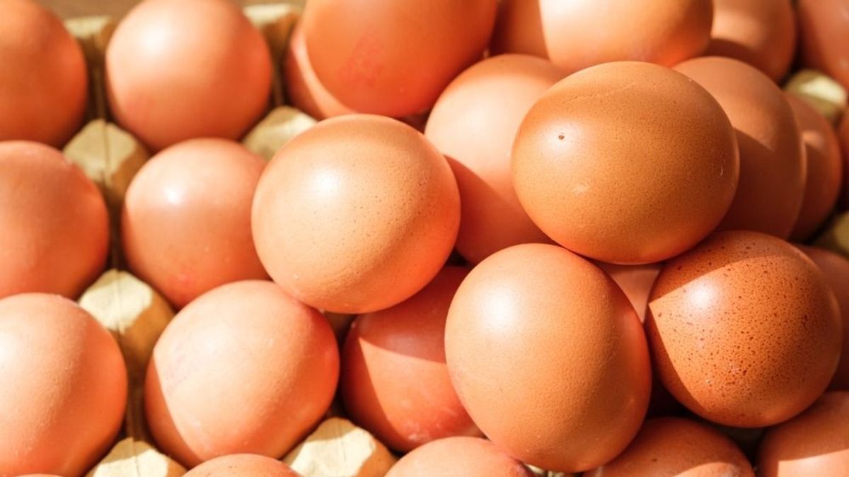 Ukrán szennyezett tojás árasztotta el Európát: nem lehet követni, milyen termékekbe került bele – Magyarország hiába szólt 