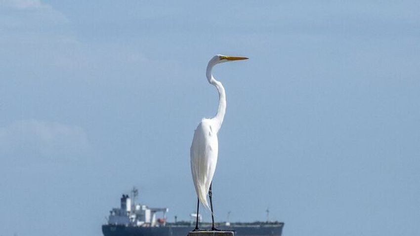 Az olajsokk képekben - megremegett a világ