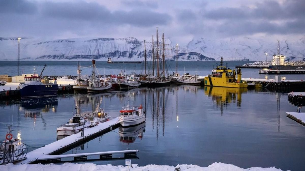 Rettegnek Trumptól, hogy ők a következők: az EU kész eloszlatni Izland aggodalmait – tabudöntéssel csábítaná magához a szigetországot Brüsszel 