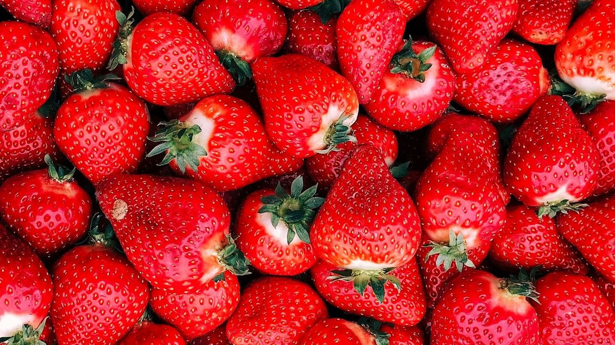 Így alakulnak idén a Szedd magad! árak a földiepernél 