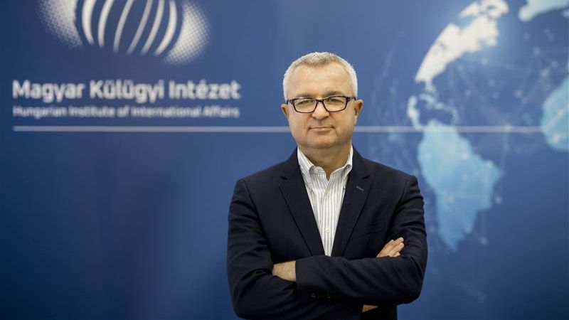 Vasa László szerző profilképe