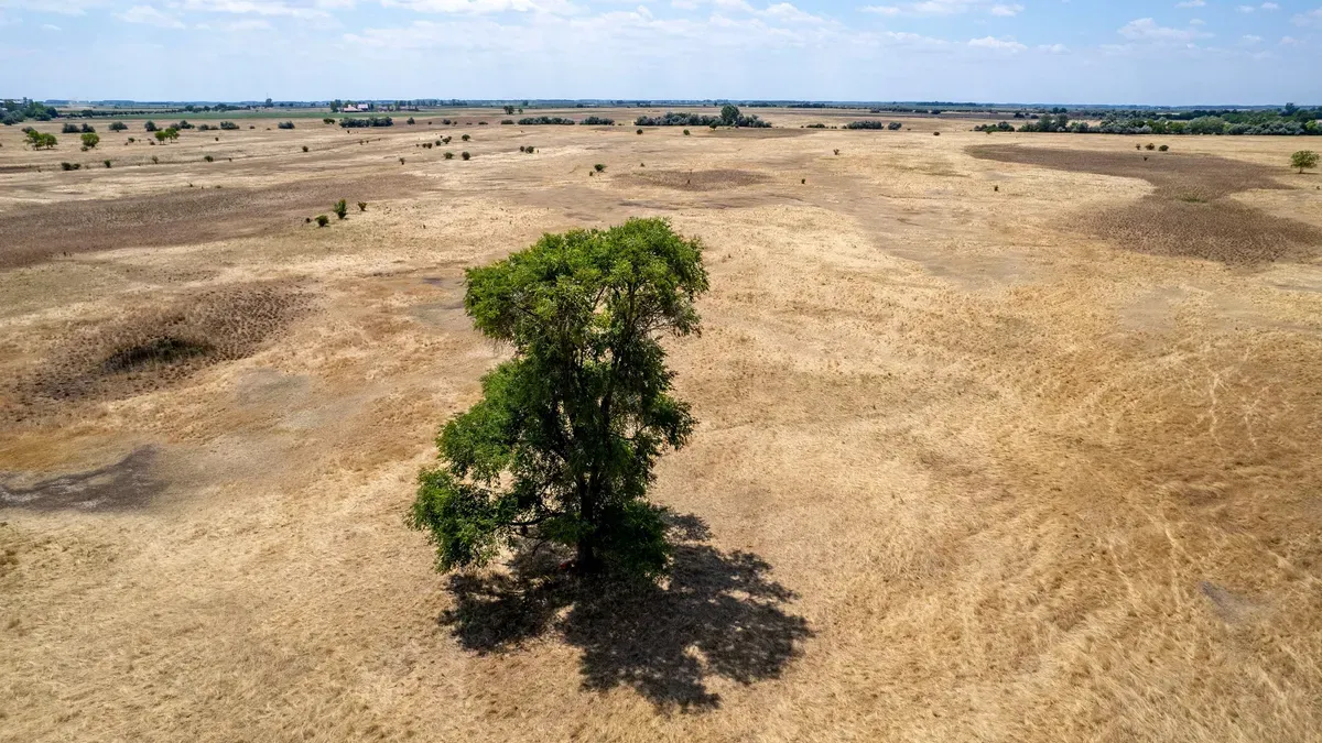 Súlyos aszály: drónnal készült képen egy legelő Derecske közelében 2025. június 30-án.  - MTI/Czeglédi Zsolt