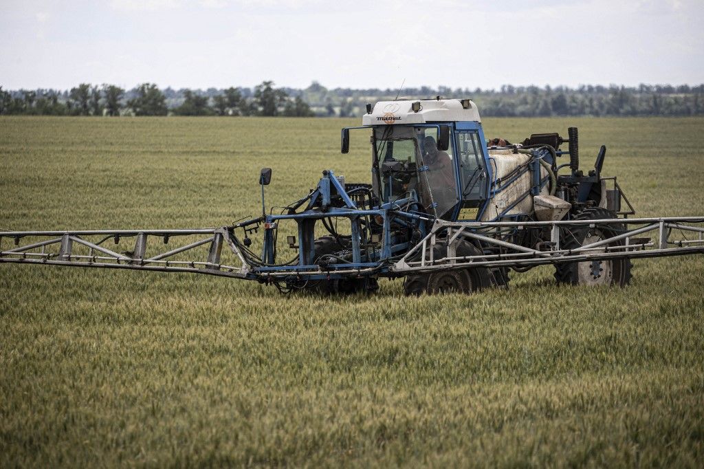 Wheat sales suffering amid war in Ukraine Tanyafejlesztésre 15 milliárd forint: már az első körben 1 milliárdot osztottak ki