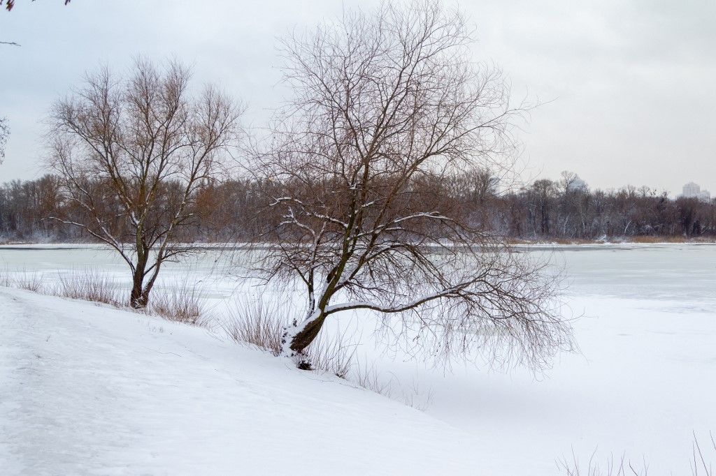 Winter in Kyiv Télies időjárás a Kárpátokban: mínusz 8 fok és hóesés