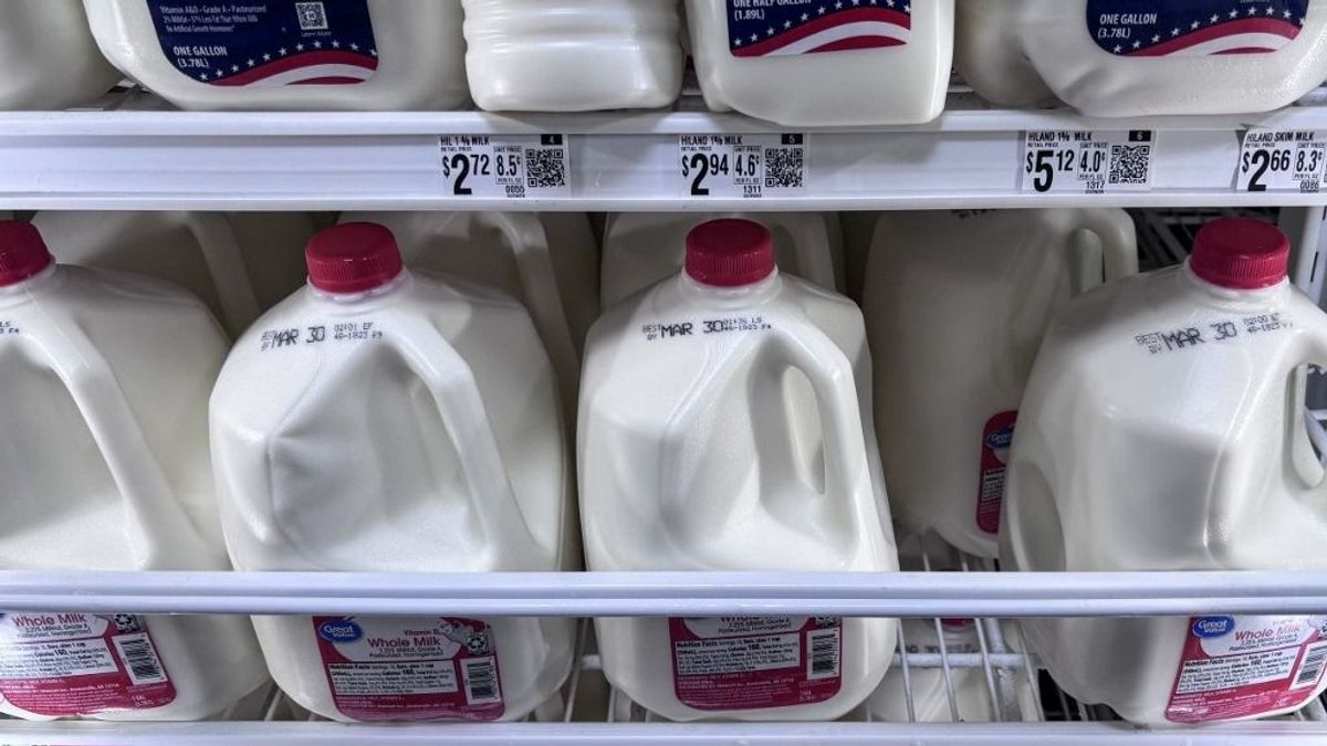 Új tejhatalom született Magyarország szomszédjában: jóváhagyták a gigantikus üzletet, összeolvad két agrárcég – megváltozik a gazdák sorsa