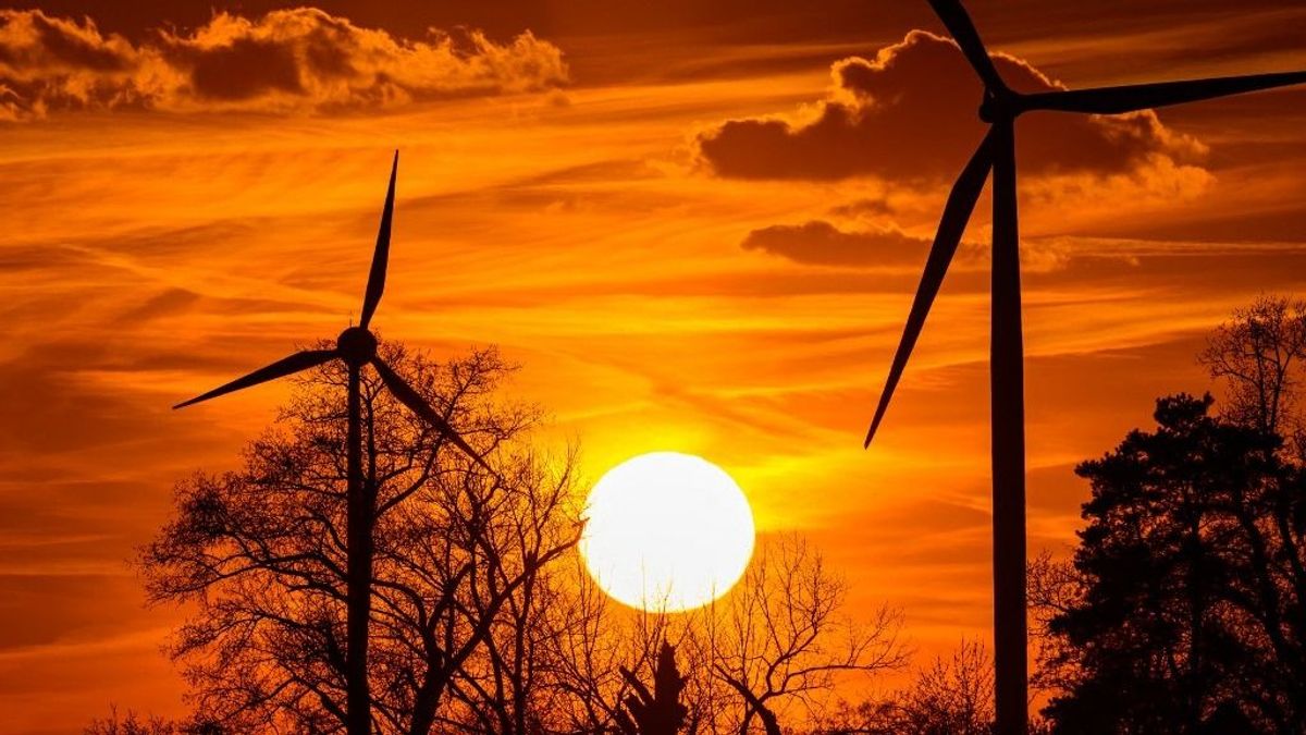 Totális fordulat: elege lett a napelemekből és a szélenergiából Európa egyik legnagyobb országának – ez így nem mehet tovább, a jövő héttől visszafogja a termelésüket 
