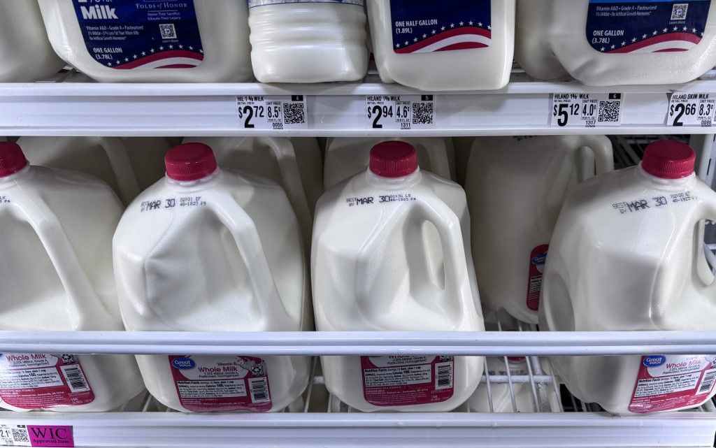 Új tejhatalom született Ausztriában: jóváhagyták a gigantikus üzletet, összeolvad két agrárcég