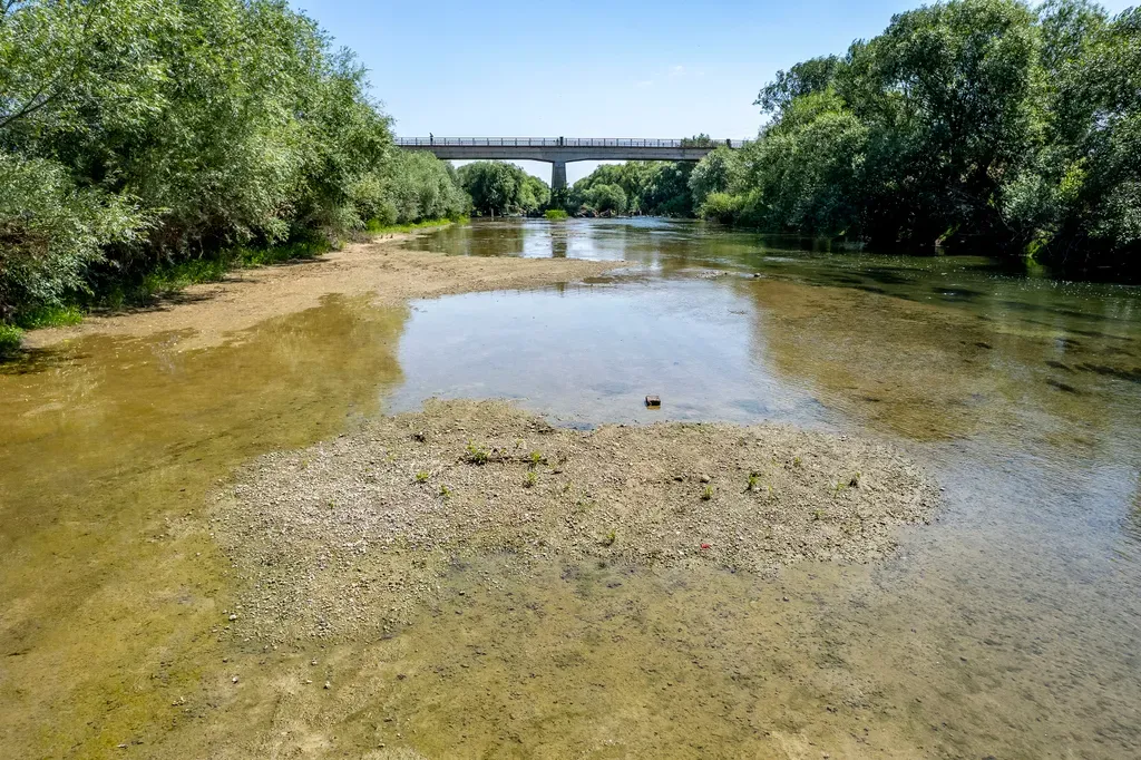 Az alacsony vízállású Sebes-Körös folyó Körösszakál közelében a 2025-ös aszály idején Fotó: MTI