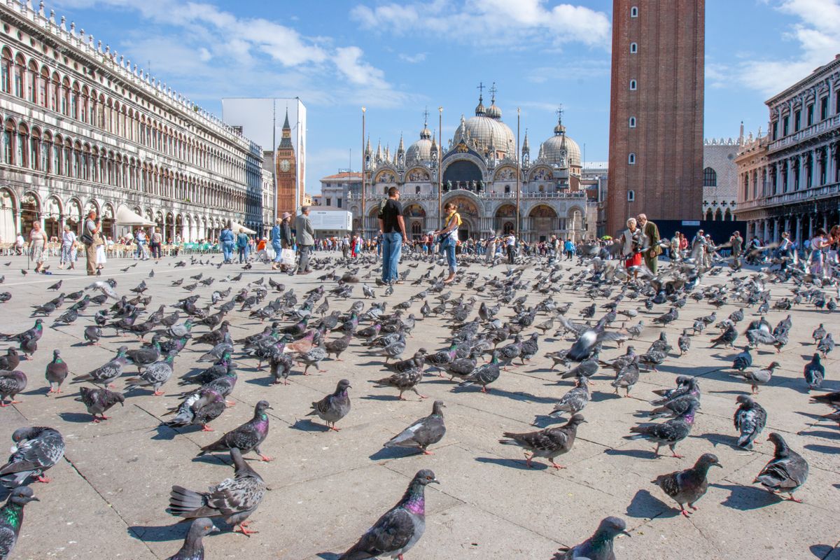 Venice,,Italy,-,September,25,,2005:,People,Enjoy,The,San, szabály