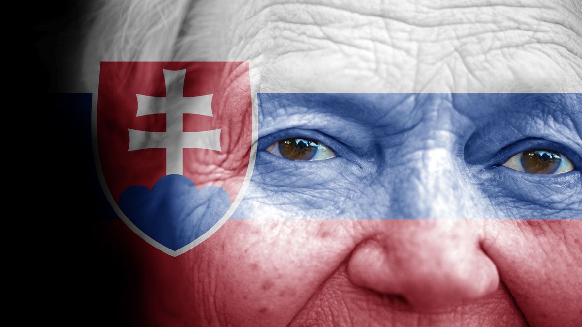 Portrait,Of,Older,Lady,With,Painted,National,Flag,Of,Slovakia