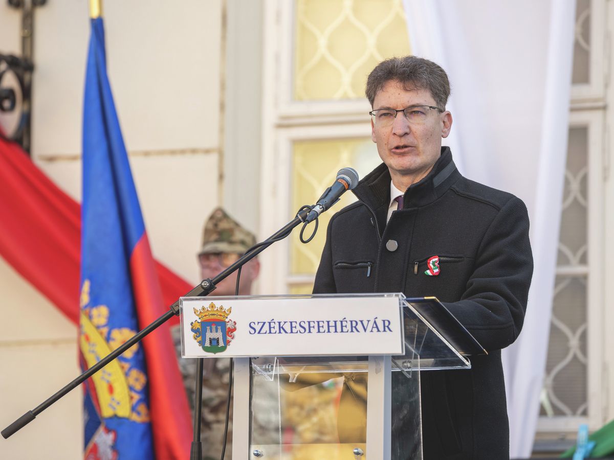 Cser-Palkovics András, Székesfehérvár polgármestere