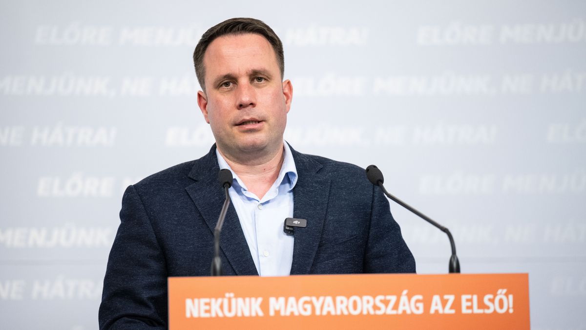 Megszólalt az EP-képviselő: az Európai Bizottság megtámadta az üzemanyagok védett árát 