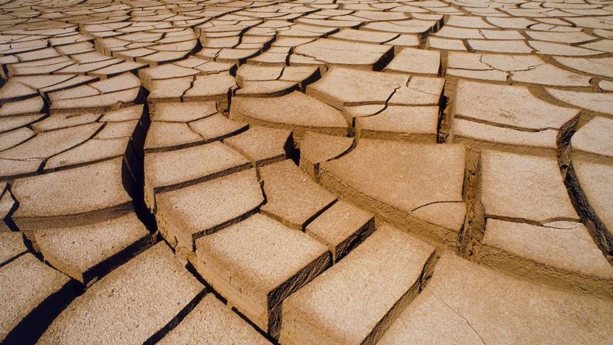 Nem elég a közel-keleti feszültség, idén még a szuper El Nino is tovább drágítja az élelmiszert világszerte 