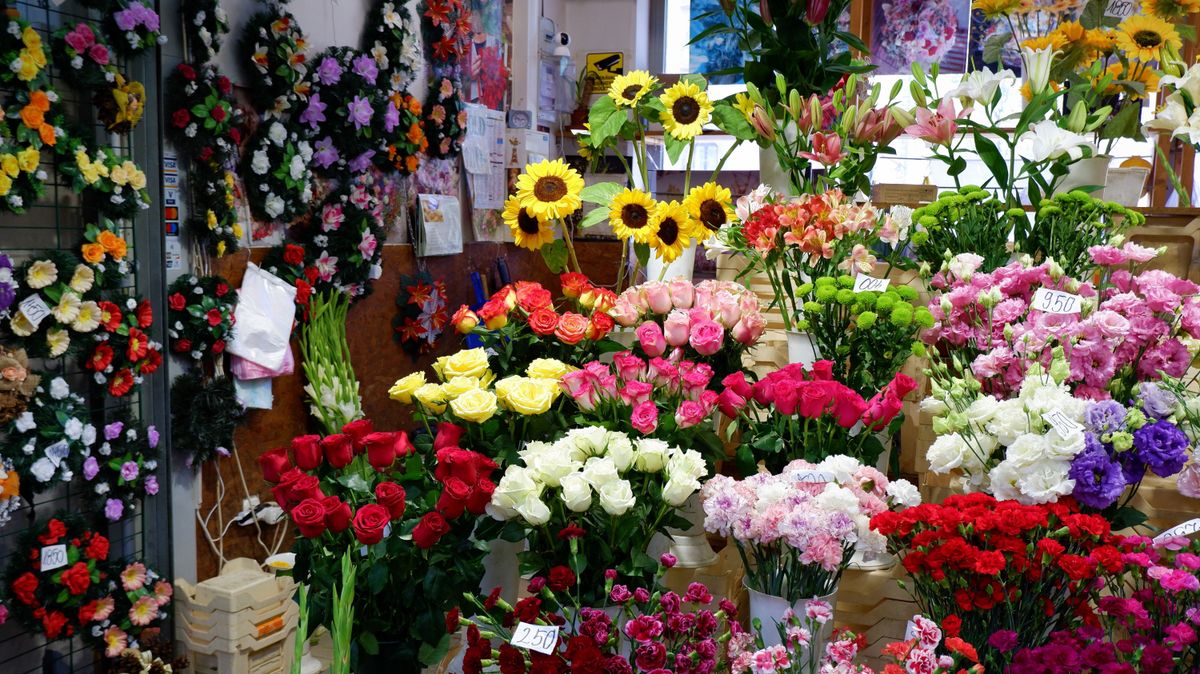 NAV Budapest,,Hungary,-,July,9,,2021:,All,Kinds,Of,Colorful