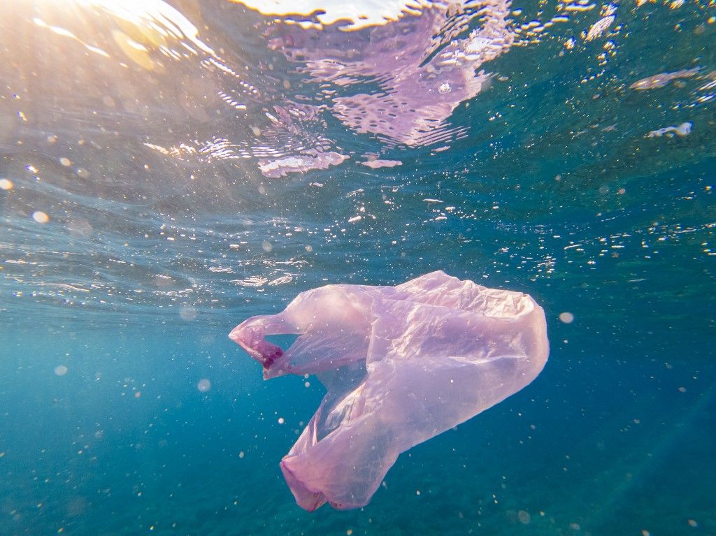 Underwater Plastic Bag Litter