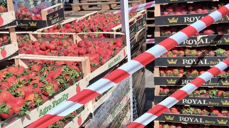 Több mint 2,6 tonnányi gyümölcsöt vont ki a forgalomból a fogyasztóvédelmi hatóság Soroksáron
