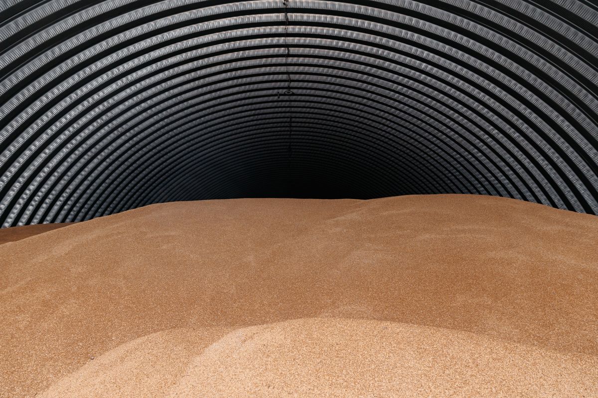 Grain,Warehouse,Storage,In,Metal,Barn,With,Curved,Roof,Design. ukrán gabona
