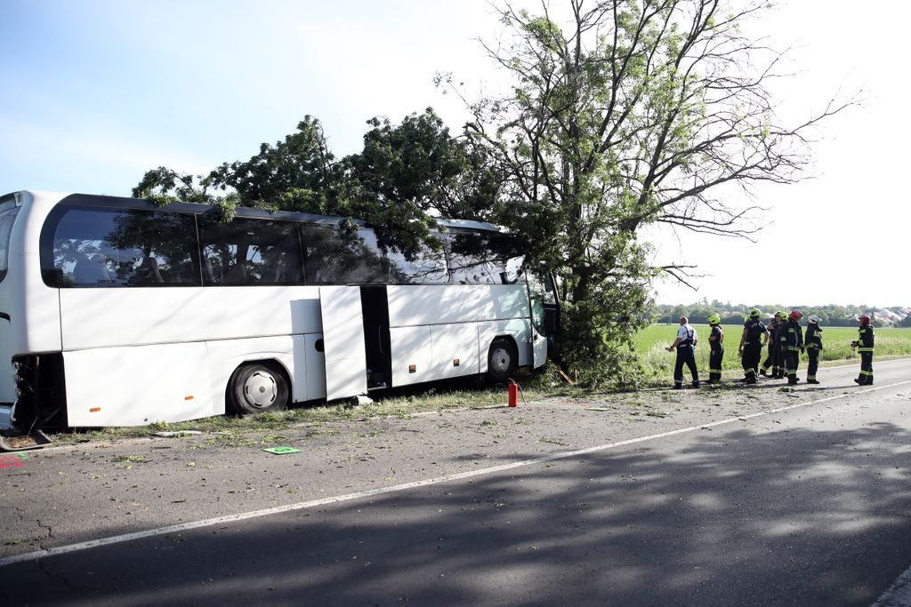 buszbaleset