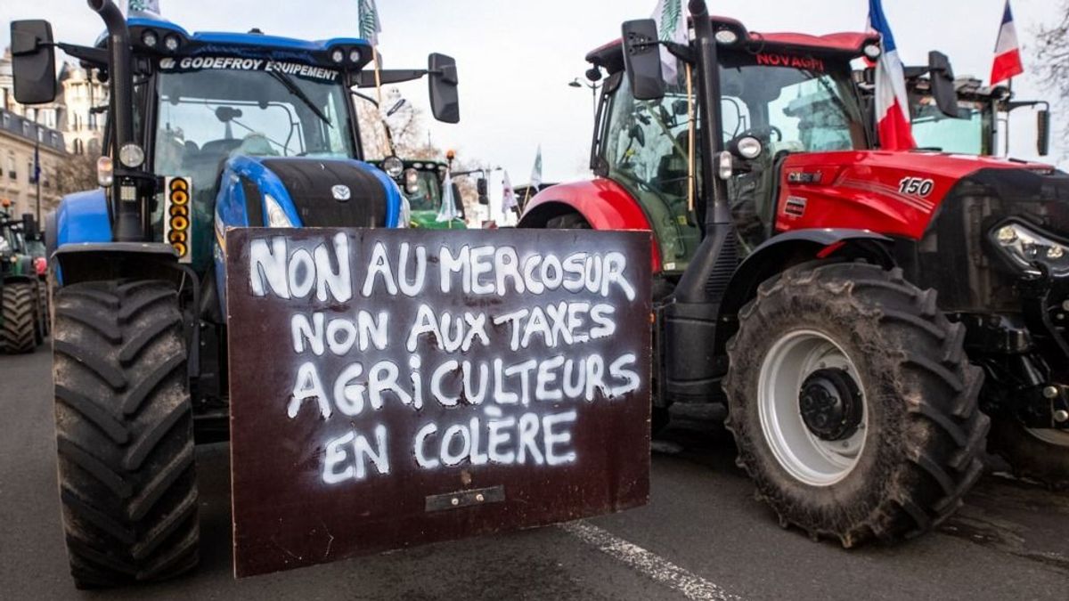 Elmondta a Fidesz politikusa, hogy szerinte miért nem mondott igazat Magyar Péter a Mercosur-megállapodásról 