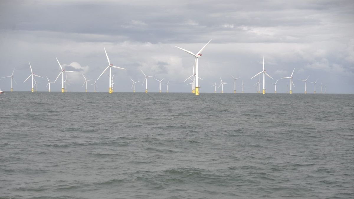 A német energiaóriás a brit partoknál talált aranybányát a magyarok és a lengyelek helyett 
