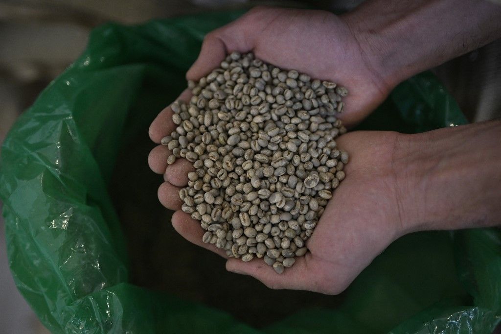International Coffee Day in Brazil