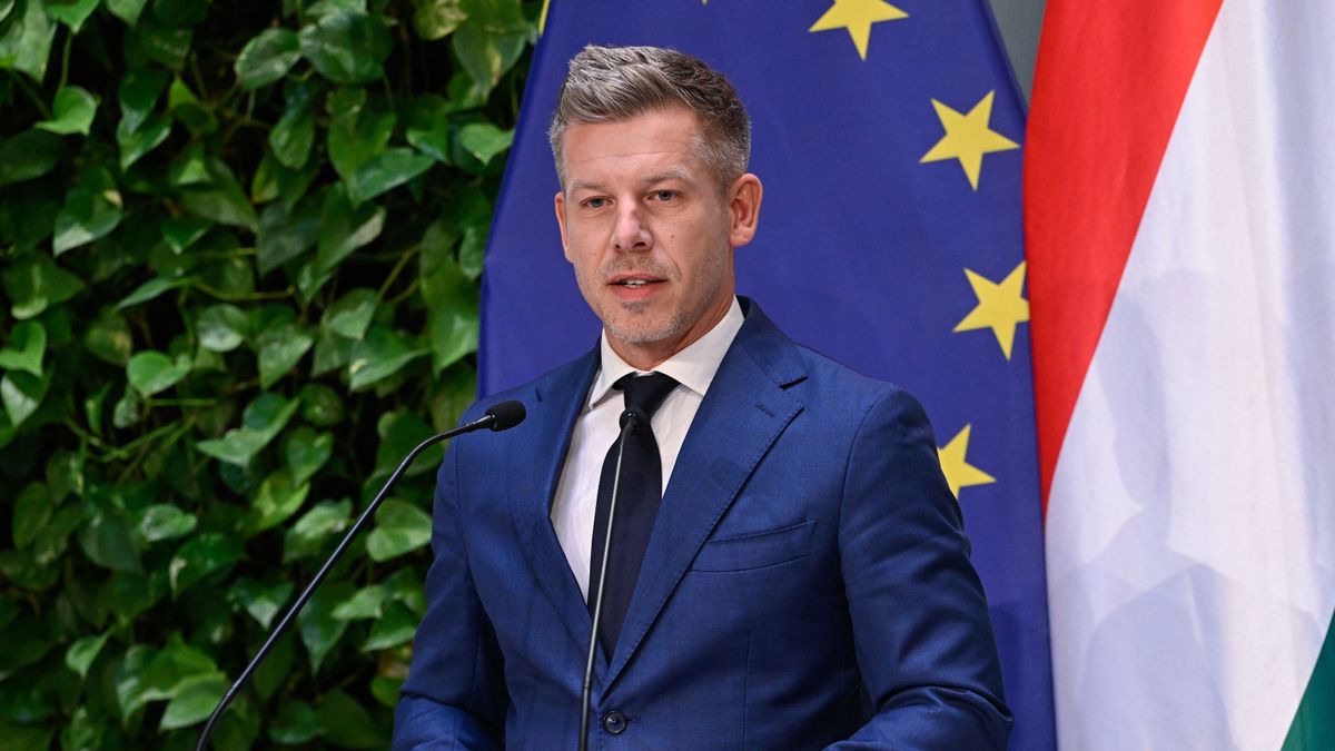 Magyar Péter: A végzettségek alapján a jogi, közgazdasági, műszaki-informatikai és társadalomtudományi háttér a leggyakoribb.