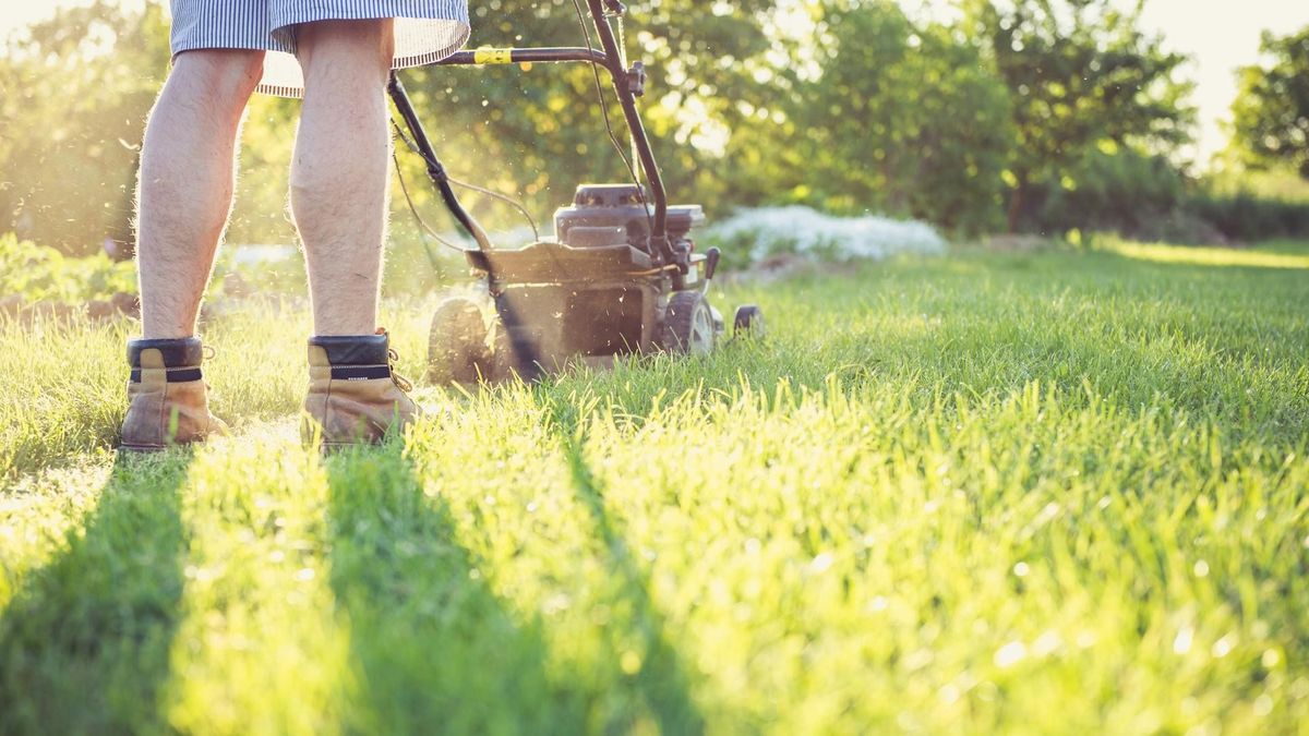 Megérheti a burjánzó kert, okkal parkoltatnák sokan a fűnyírót 