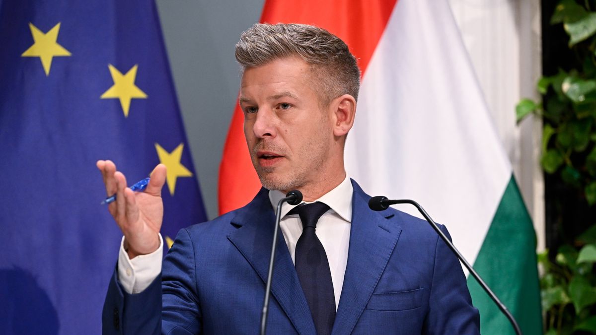 Megszólalt Magyar Péter: százezres támogatás, nyugdíjas SZÉP-kártya, fizetéscsökkentés, felülvizsgálják az Orbán-kormány összes vállalását
