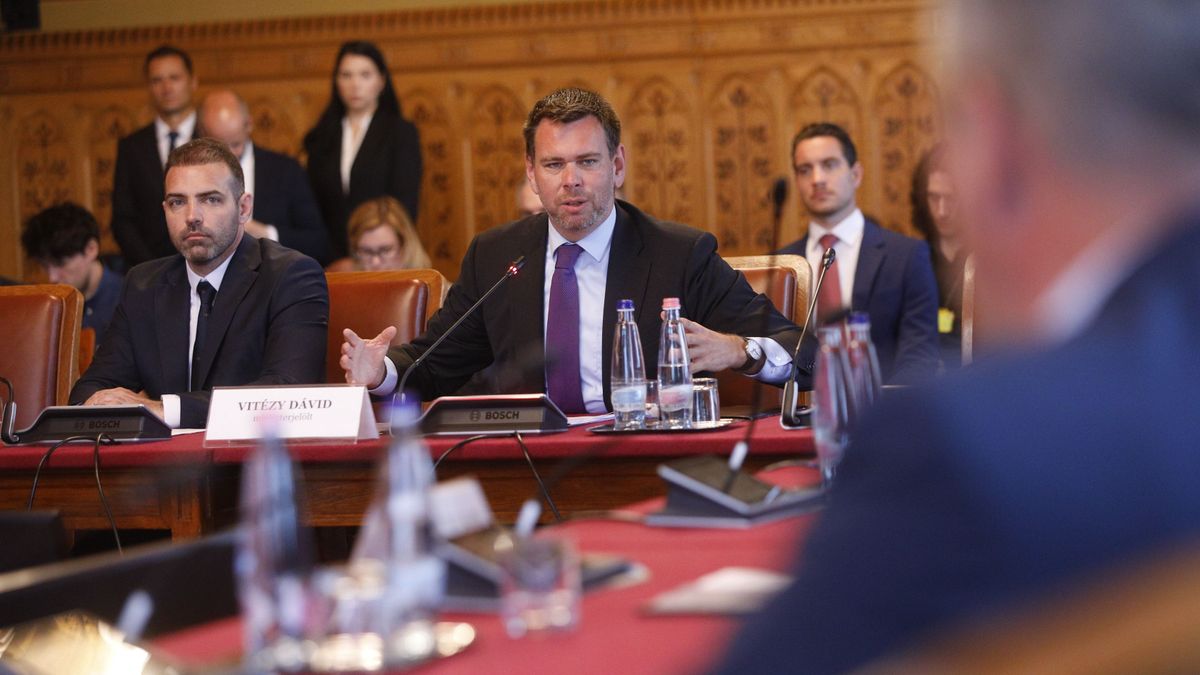 Vitézy Dávid Budapest-Belgrád vasútvonal