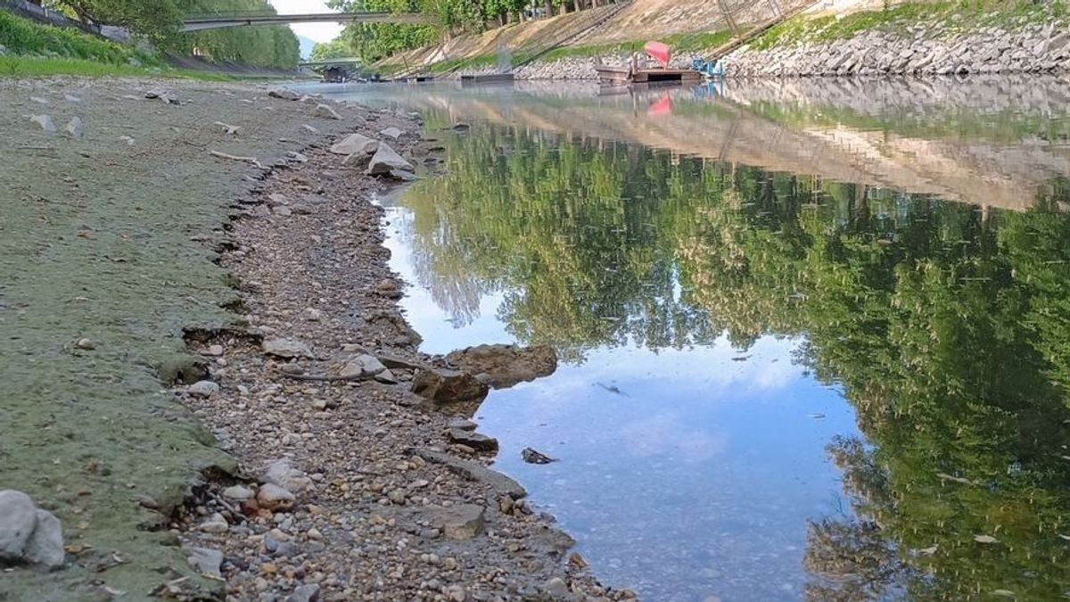 Sokkoló látvány: szinte át lehet sétálni a Kis-Dunán, alig van benne víz – videó 