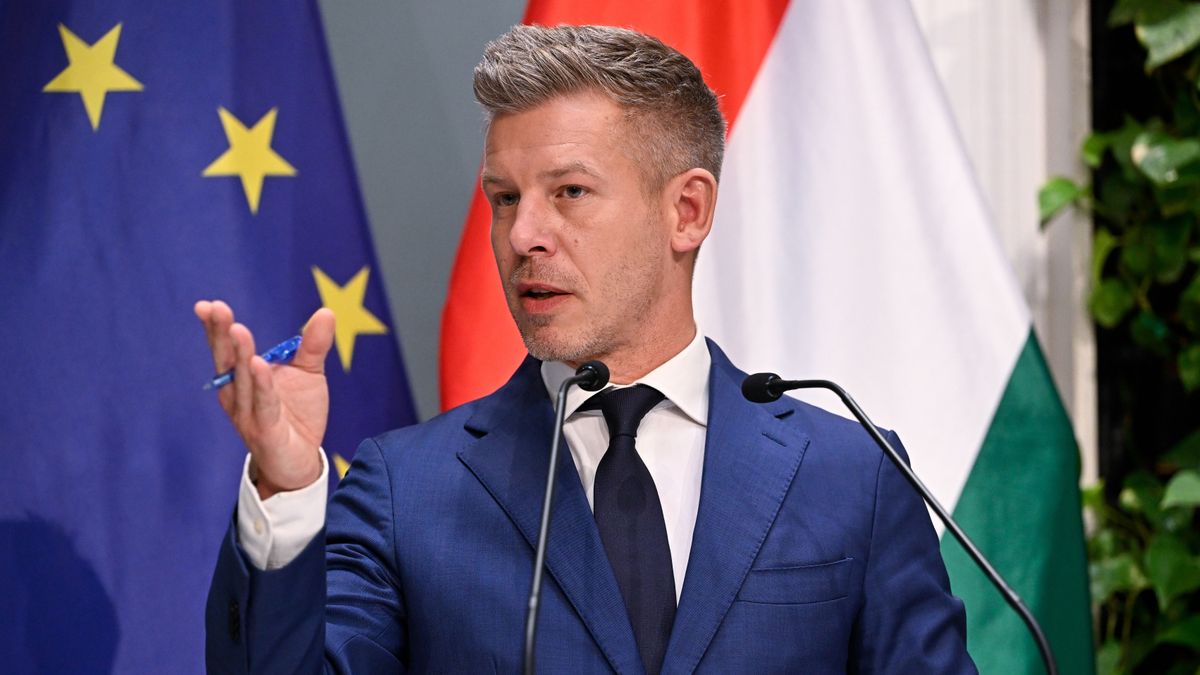Kitört a botrány: Magyar Péter brutális állítást tett a magyar költségvetésről, a Fidesz azonnal feltárta a valóságot – "Bűnbakot keres" 
