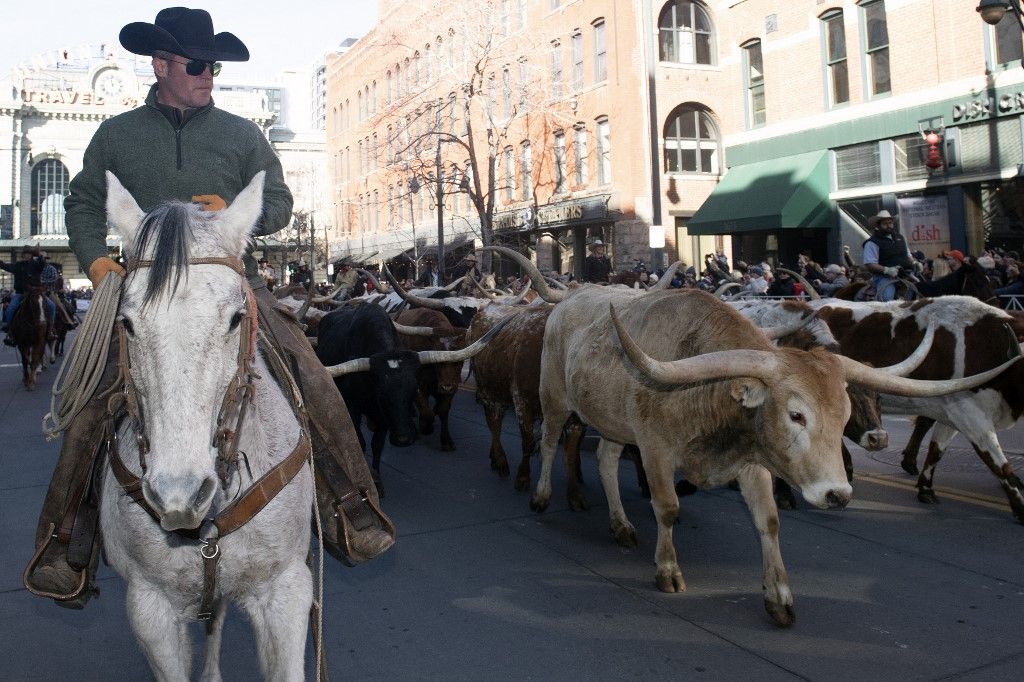 National Western Stock Show Kick-off Parade