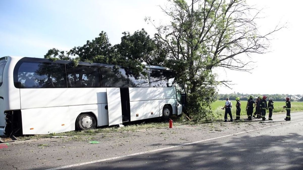 Nagyon súlyos buszbaleset történt Pécs mellett – több tucat gyerek sérült meg, halott is van 