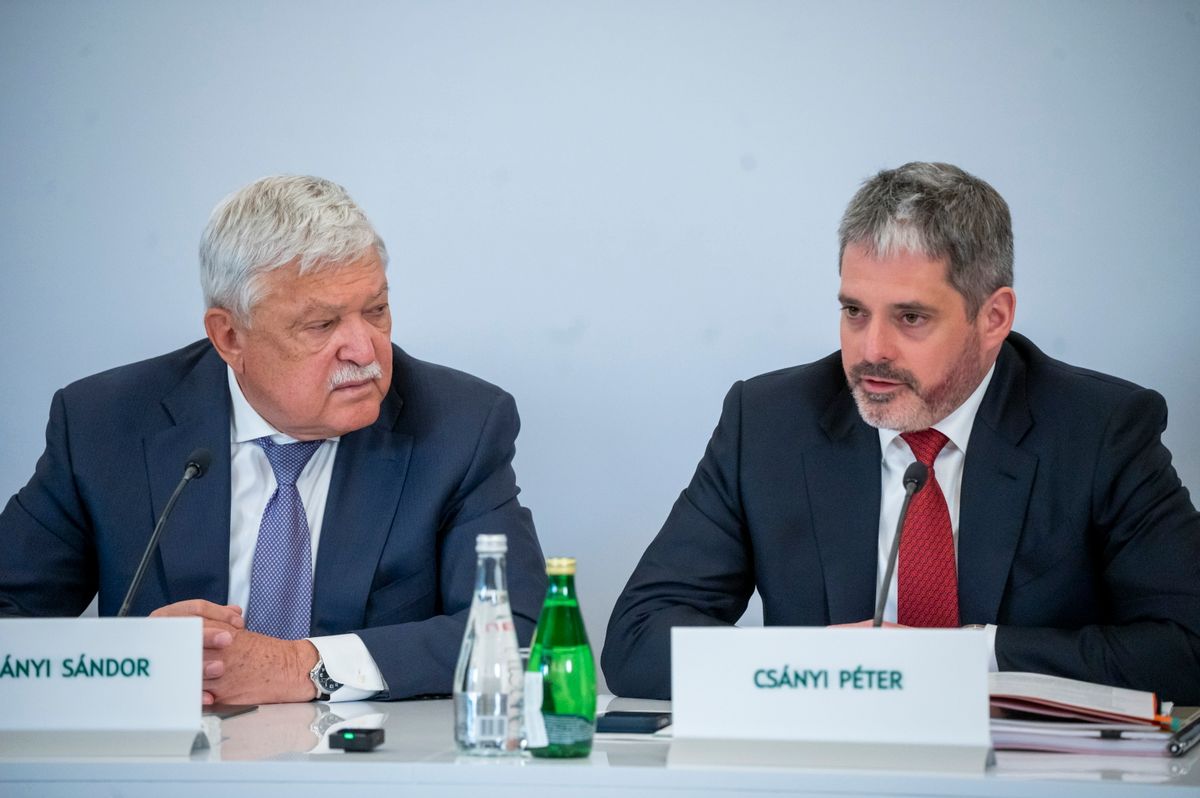 OTP, Csányi Sándor, Csányi Péter, részvény