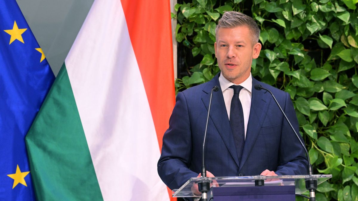 Magyar Péter olyant mondott az orosz gázról, amit Brüsszelben nem fognak érteni, pedig Orbán Viktortól régóta hallgatják 