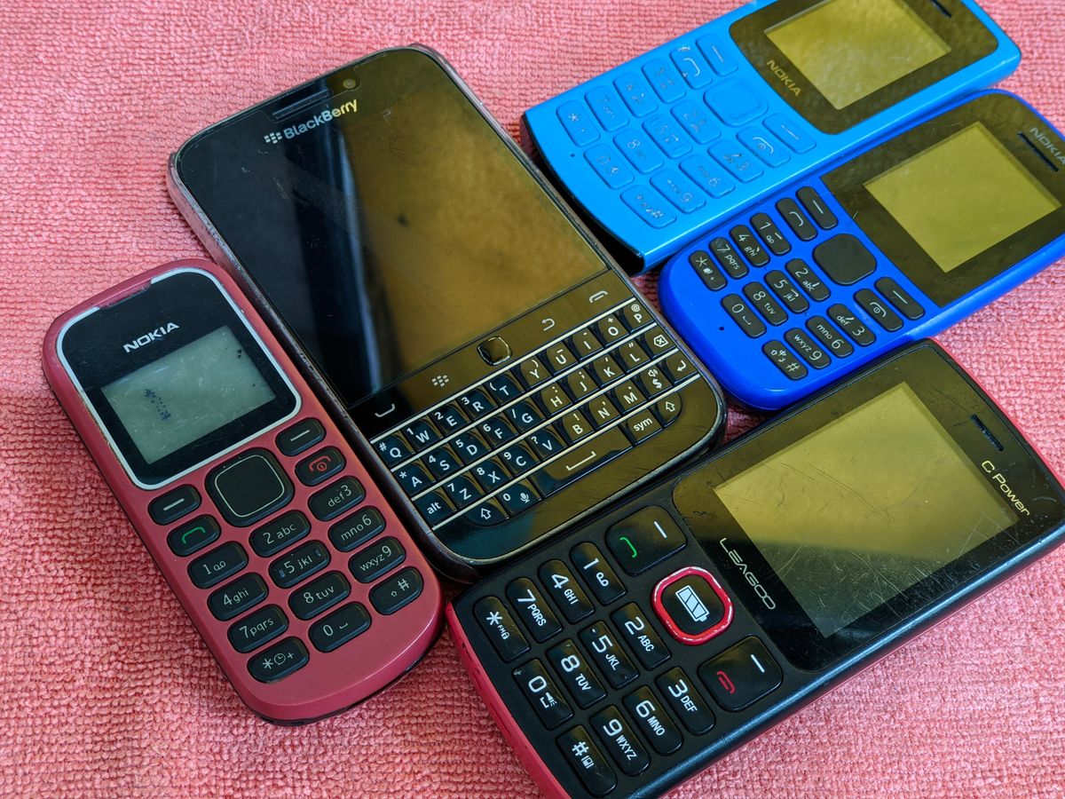 Terengganu,,Malaysia,-,2,February,2024,:,Close-up,Of,Blackberry