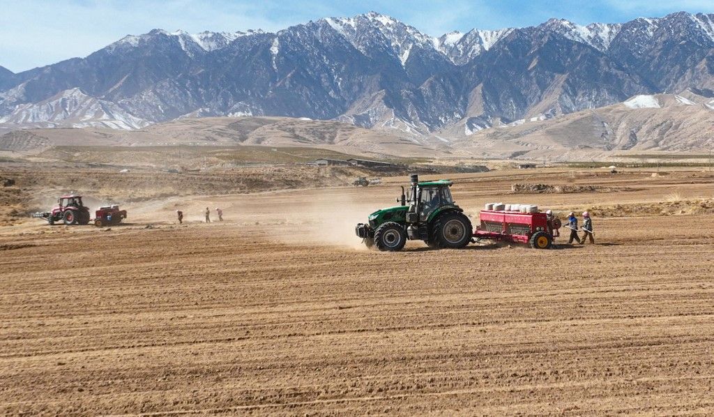 Wheat Planting