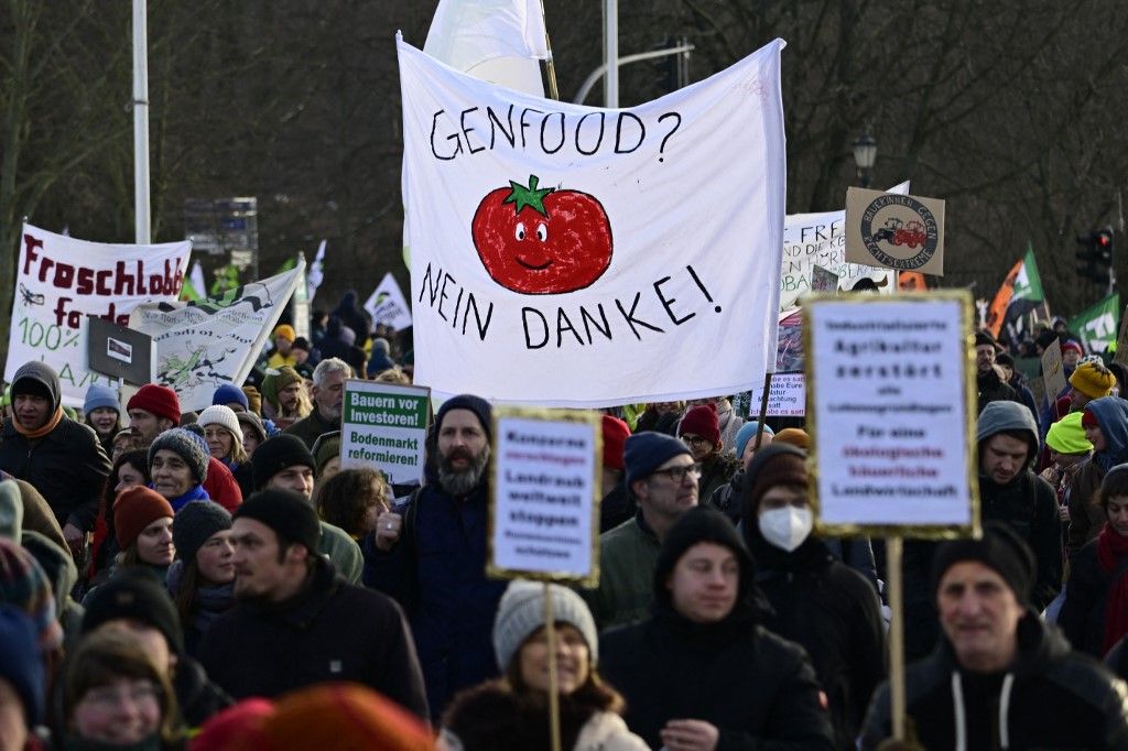 GMO, Magyar Péter, Tisza Párt, génszerkesztés