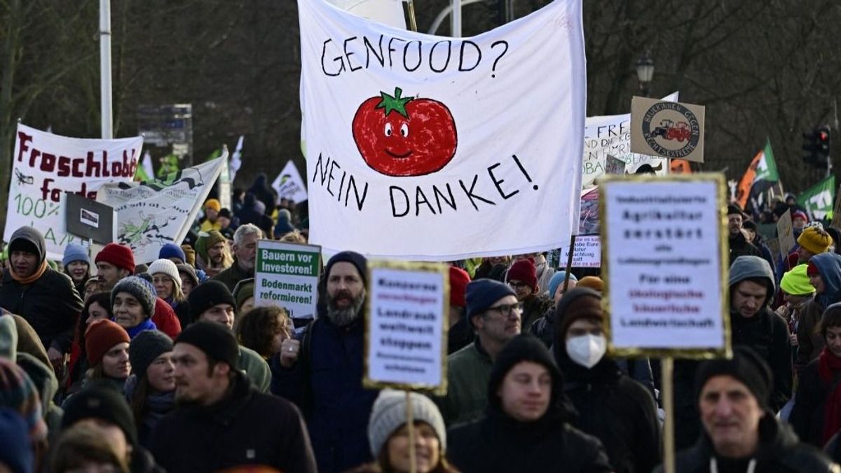 Magyar Péter nagyot mondott: a gabonatermesztés jövője múlik a génszerkesztésen, ami szerinte nem GMO 
